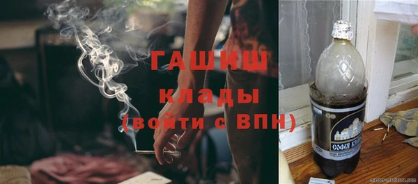 молекула духа Бородино