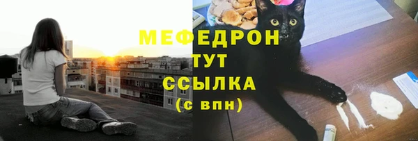 молекула духа Бородино