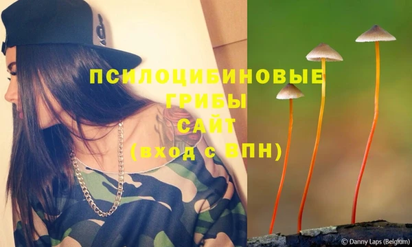молекула духа Бородино